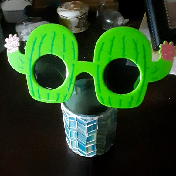 Accessories - 🌵🌺Cool cactus sunglasses 🌵🌺